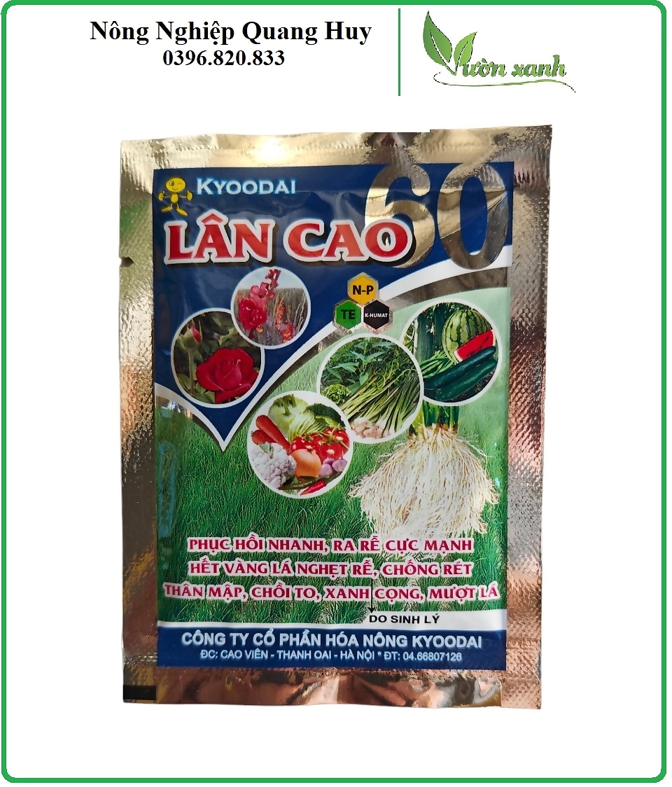 Phân bón Siêu Lân Cao dùng cho hoa hồng (kích thích ra hoa đồng loạt)